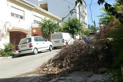 Πάτρα: Εστία τρωκτικών και ερπετών μπροστά από το δημοτικό βρεφοκομείο [video]