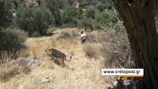 ΘΡΙΛΕΡ με την εξαφάνιση της 16χρονης στην Κρήτη - Ποια είναι τα νέα στοιχεία; - Φωτογραφία 1