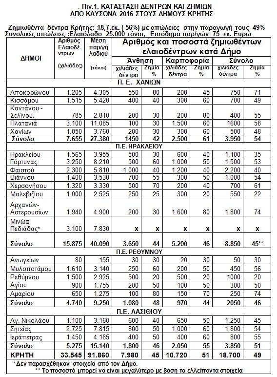 ΣΕΔΗΚ: «Χάθηκαν» 25.000 τόνοι ελαιολάδου από τον καύσωνα της Άνοιξης - Φωτογραφία 2