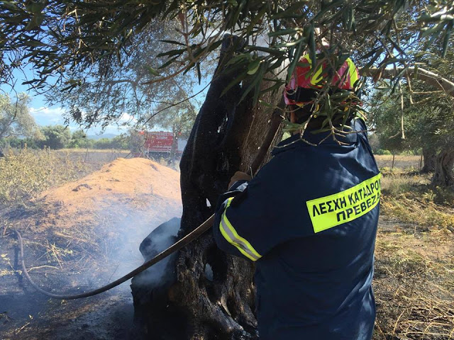 Με την Καθοριστική συνδρομή της ΛΕΚ Πρέβεζας έσβησε η Πυρκαγιά στα Λογγίδια της Πρέβεζας - Φωτογραφία 2