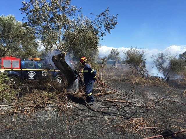 Με την Καθοριστική συνδρομή της ΛΕΚ Πρέβεζας έσβησε η Πυρκαγιά στα Λογγίδια της Πρέβεζας - Φωτογραφία 3