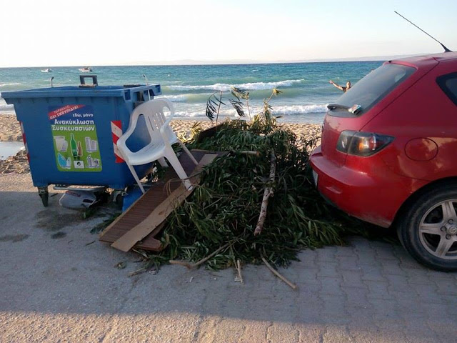 Πευκοχώρι Χαλκιδικής: Η αυθαιρεσία στην παραλία σε όλο της το μεγαλείο [photos] - Φωτογραφία 4