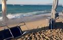 Πευκοχώρι Χαλκιδικής: Η αυθαιρεσία στην παραλία σε όλο της το μεγαλείο [photos] - Φωτογραφία 10