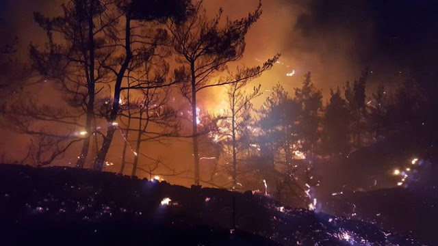 Ανεξέλεγκτη είναι η φωτιά στο Σελάκανο στην Κρήτη! [photo] - Φωτογραφία 2