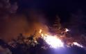 Ανεξέλεγκτη είναι η φωτιά στο Σελάκανο στην Κρήτη! [photo]