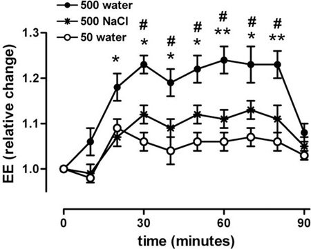 Το ήξερες; Πόσο νερό ΠΡΕΠΕΙ να πίνουμε για να αυξήσουμε το μεταβολισμό μας; - Φωτογραφία 2