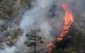 Κύπρος: Σχέδιο για αποκατάσταση και αναδάσωση της καμένης δασικής περιοχής στη Σολέα