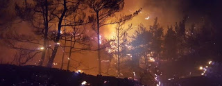 Καίγεται για δεύτερη μέρα το Σελάκανο Ιεράπετρας - Φωτογραφία 1