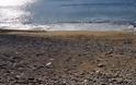 Απίστευτο! Τι ξεβράστηκε χθες σε παραλία της Κρήτης;