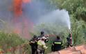 Σε συναγερμό η Κρήτη! Απαγορεύτηκε η κυκλοφορία σε δάση του Ρεθύμνου λόγω φόβων για πυρκαγιές