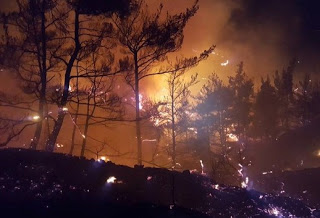 Τεράστιες καταστροφές στο Σελάκανο – Σε ύφεση η φωτιά αλλά… με αναζωπυρώσεις - Φωτογραφία 1
