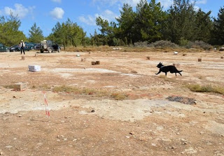 Η Κρήτη απέκτησε ομάδα σκύλων για να βρίσκει δηλητηριασμένα δολώματα - Φωτογραφία 1