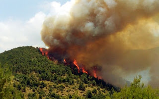 Πυρκαγιά σε εξέλιξη αυτή την ώρα σε δασική έκταση στην Ουρανούπολη Χαλκιδικής - Φωτογραφία 1