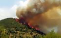Πυρκαγιά σε εξέλιξη αυτή την ώρα σε δασική έκταση στην Ουρανούπολη Χαλκιδικής