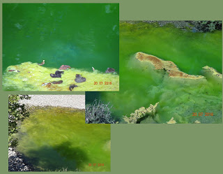 Ζαγόρι: Ρυπογόνα φορτία έχουν αλλάξει το χρώμα των νερών στον Ζαγορίτικο ποταμό - Φωτογραφία 1