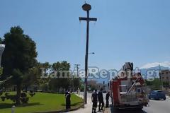 Λαμία: Επιχείρηση διάσωσης... πελαργού! [photos]