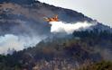 Σκληρή μάχη με την πυρκαγιά στα Μαστιχοχώρια Χίου - Κάηκαν καλλιέργειες