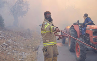 Oλοκληρωτική καταστροφή σε καλλιέργειες από την πυρκαγιά στη Χίο! - Φωτογραφία 1