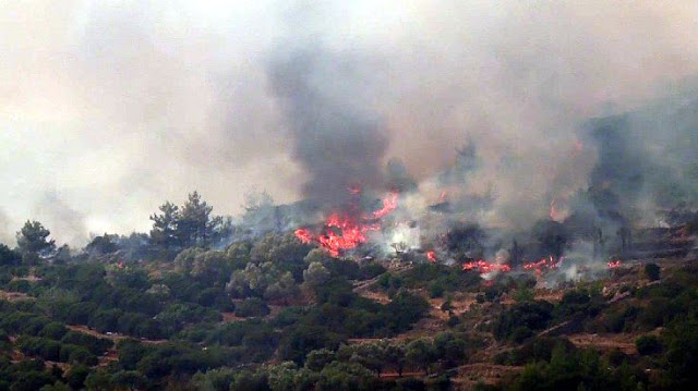 Πώς είναι η κατάσταση στη Χίο μετά τη χθεσινή φωτιά; [photos] - Φωτογραφία 3