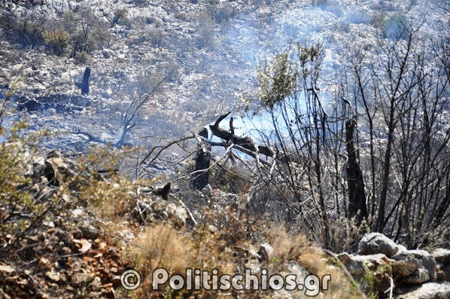 Εικόνες καταστροφής μετά τη φωτιά στη Χίο [photos] - Φωτογραφία 2