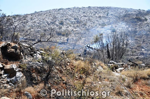 Εικόνες καταστροφής μετά τη φωτιά στη Χίο [photos] - Φωτογραφία 3