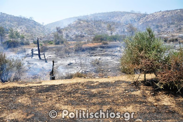 Εικόνες καταστροφής μετά τη φωτιά στη Χίο [photos] - Φωτογραφία 4