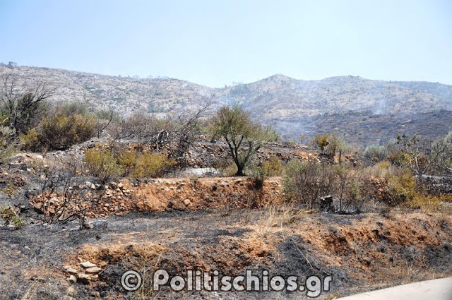 Εικόνες καταστροφής μετά τη φωτιά στη Χίο [photos] - Φωτογραφία 5