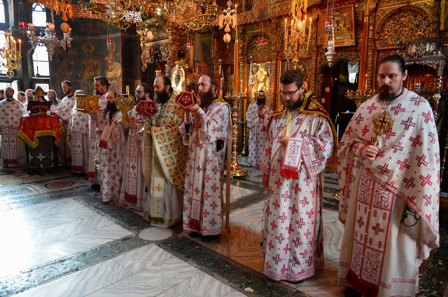 8769 - Φωτογραφίες από τον εορτασμό της Παναγίας Τριχερούσας στο Χιλιανδάρι - Φωτογραφία 12