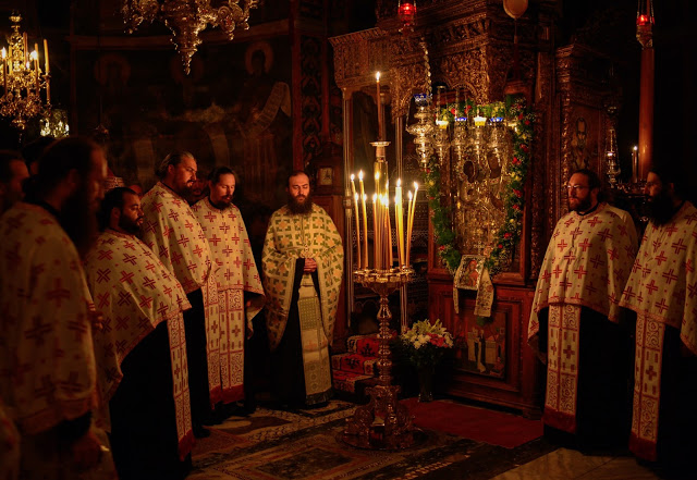 8769 - Φωτογραφίες από τον εορτασμό της Παναγίας Τριχερούσας στο Χιλιανδάρι - Φωτογραφία 5