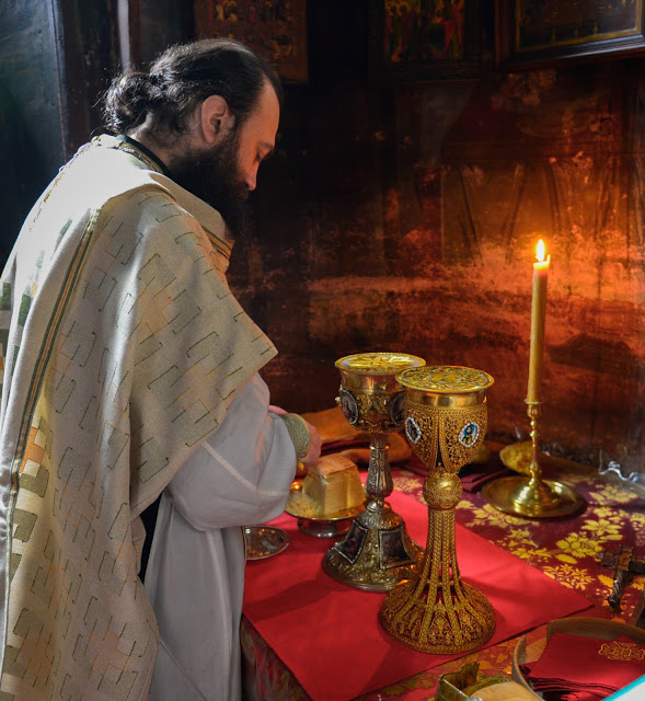 8769 - Φωτογραφίες από τον εορτασμό της Παναγίας Τριχερούσας στο Χιλιανδάρι - Φωτογραφία 8