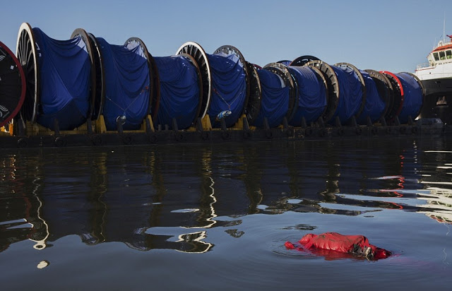 Ρίο: ΣΟΚ -  Πτώματα στα νερά που θα γίνουν οι αγώνες κολύμβησης και κωπηλασίας - ΑΠΙΣΤΕΥΤΕΣ εικόνες - Φωτογραφία 2