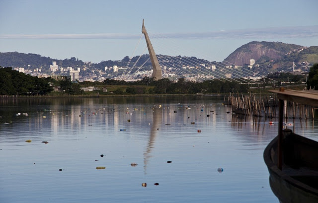 Ρίο: ΣΟΚ -  Πτώματα στα νερά που θα γίνουν οι αγώνες κολύμβησης και κωπηλασίας - ΑΠΙΣΤΕΥΤΕΣ εικόνες - Φωτογραφία 6