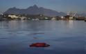 Ρίο: ΣΟΚ -  Πτώματα στα νερά που θα γίνουν οι αγώνες κολύμβησης και κωπηλασίας - ΑΠΙΣΤΕΥΤΕΣ εικόνες - Φωτογραφία 4