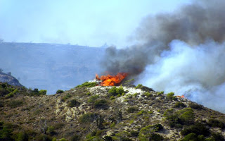 Νέα πυρκαγιά στην Αττική! -  Η φωτιά εκδηλώθηκε σε περιοχή με ξερά χόρτα στο Μαραθώνα - Φωτογραφία 1