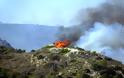 Νέα πυρκαγιά στην Αττική! -  Η φωτιά εκδηλώθηκε σε περιοχή με ξερά χόρτα στο Μαραθώνα