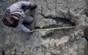 Στη Βολιβία μια από τις μεγαλύτερες πατημασιές δεινόσαυρου