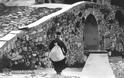 8783 - Επαγγελματίες φωτογράφοι φωτογραφίζουν το Άγιο Όρος (1) Κωνσταντινίδης Μιχάλης - Φωτογραφία 15