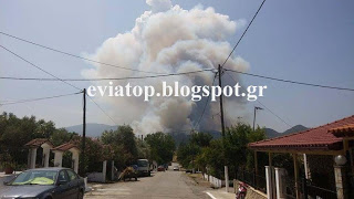 Φωτογραφίες από τη φωτιά στη βόρεια Εύβοια - Φωτογραφία 1