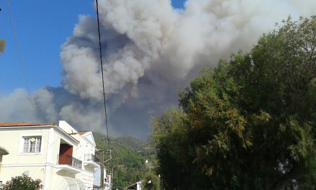 Φωτογραφίες από τη φωτιά στη βόρεια Εύβοια - Φωτογραφία 4