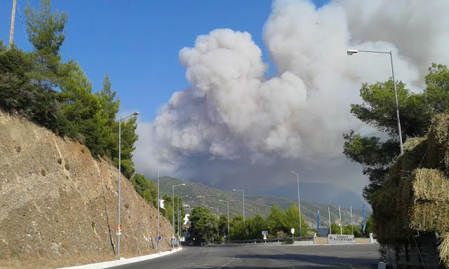 Φωτογραφίες από τη φωτιά στη βόρεια Εύβοια - Φωτογραφία 6