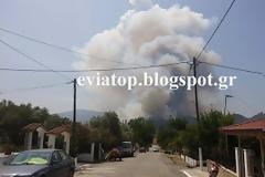 Φωτογραφίες από τη φωτιά στη βόρεια Εύβοια