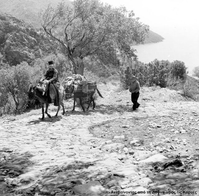 8791 - Επαγγελματίες φωτογράφοι φωτογραφίζουν το Άγιο Όρος (2) Χαρισιάδης Δημήτρης - Φωτογραφία 9