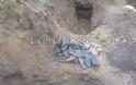 Φθιώτιδα: Αρχαιοκάπηλοι άνοιξαν τάφους στην Πελασγία [photos] - Φωτογραφία 2