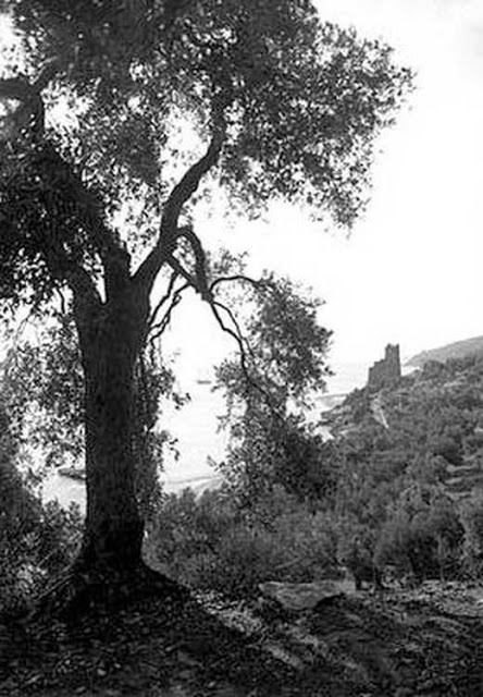 8801 - Επαγγελματίες φωτογράφοι φωτογραφίζουν το Άγιο Όρος (3) Boissonnas Fred - Φωτογραφία 8