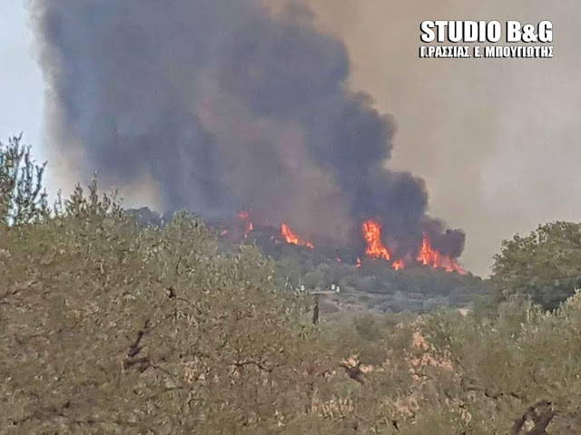 Μεγάλη ΦΩΤΙΑ σε Κρανίδι και Πόρτο Χέλι [photos] - Φωτογραφία 10