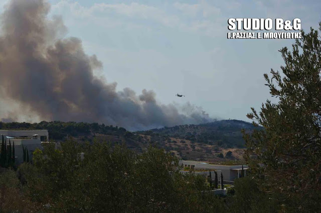 Μεγάλη ΦΩΤΙΑ σε Κρανίδι και Πόρτο Χέλι [photos] - Φωτογραφία 3