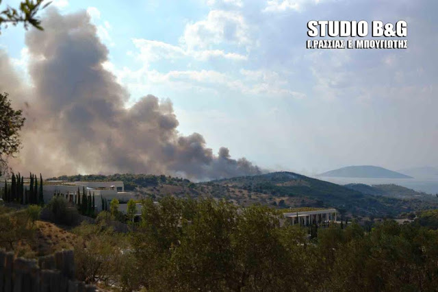 Μεγάλη ΦΩΤΙΑ σε Κρανίδι και Πόρτο Χέλι [photos] - Φωτογραφία 4