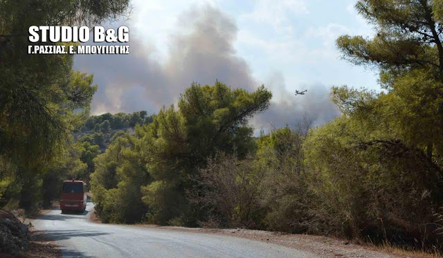 Μεγάλη ΦΩΤΙΑ σε Κρανίδι και Πόρτο Χέλι [photos] - Φωτογραφία 5