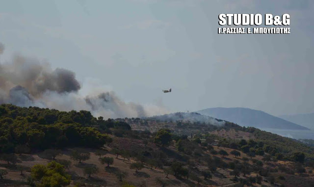 Μεγάλη ΦΩΤΙΑ σε Κρανίδι και Πόρτο Χέλι [photos] - Φωτογραφία 6