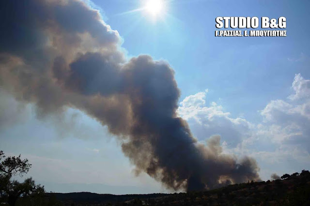 Μεγάλη ΦΩΤΙΑ σε Κρανίδι και Πόρτο Χέλι [photos] - Φωτογραφία 8